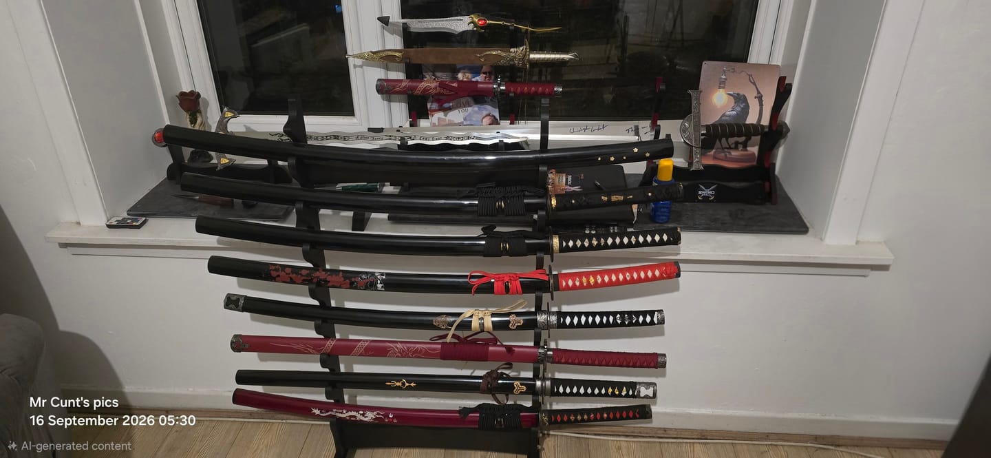 Customer photo review of Katana/Sword Floor Stand