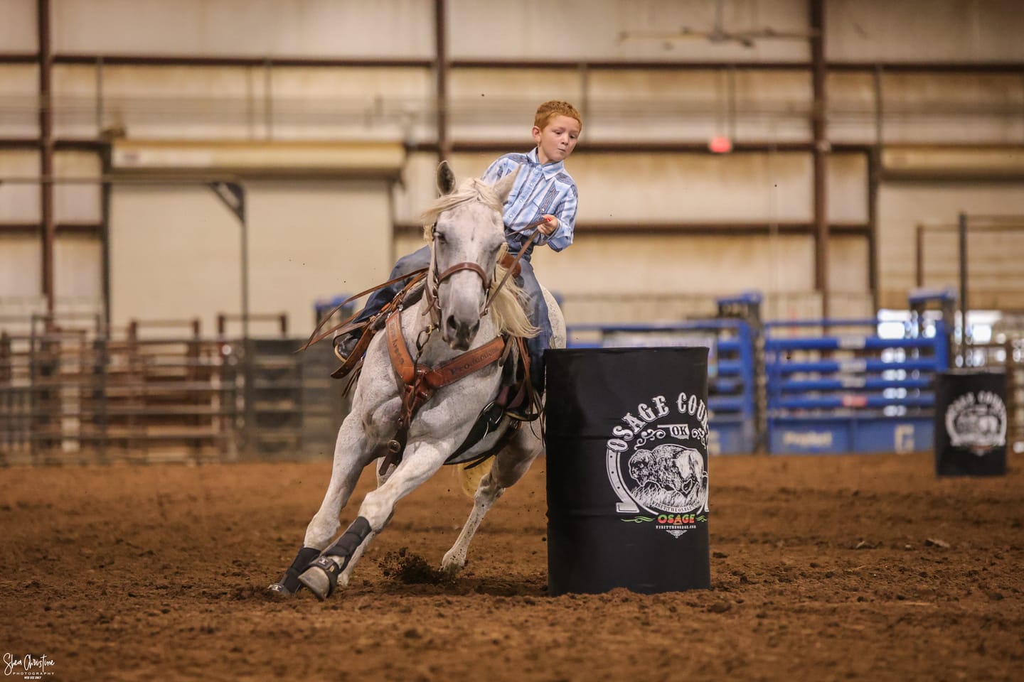 Customer photo review of OptiWize Collagen +Plus Horse Joint Supplement