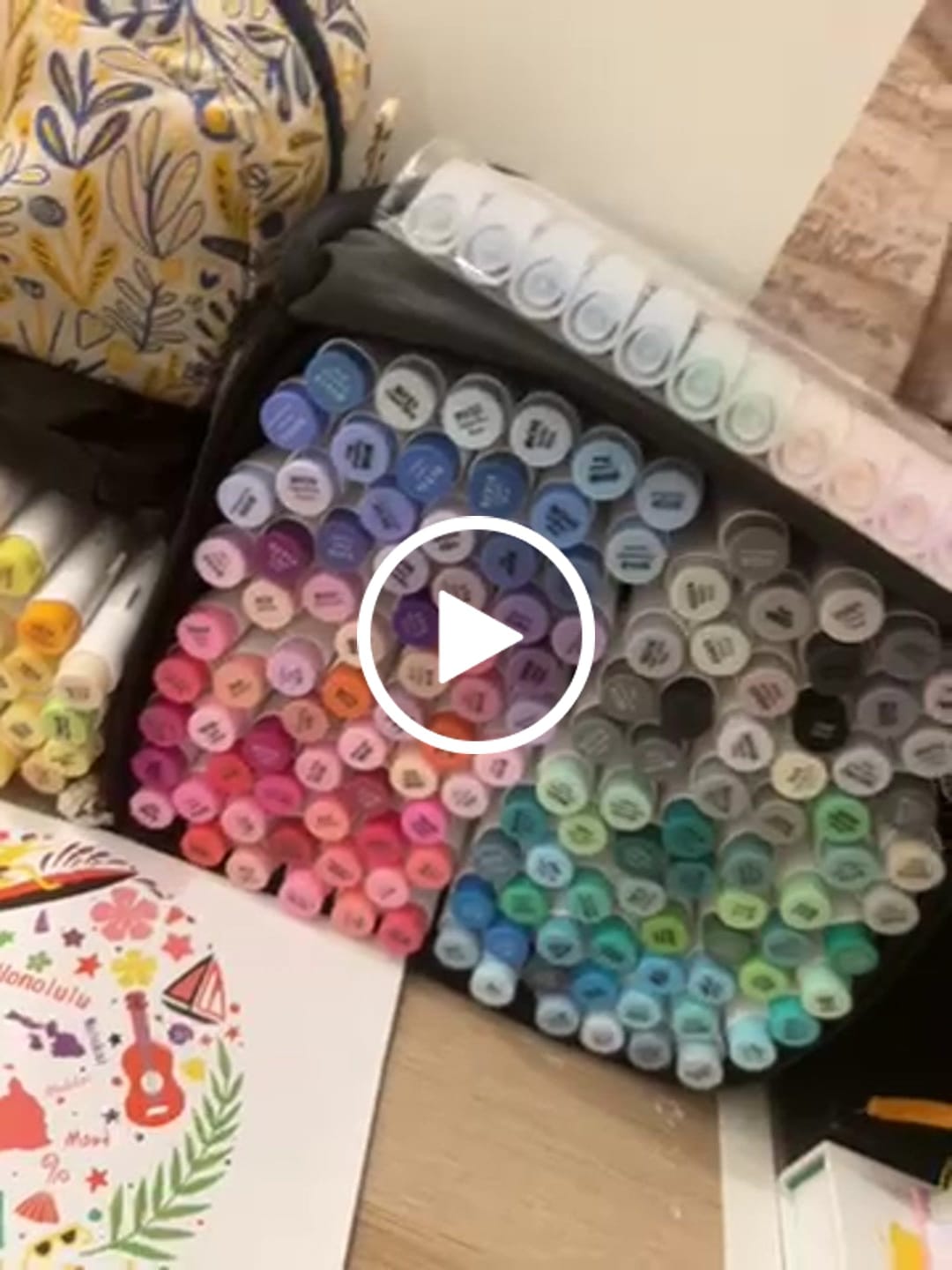Customer video review of Ohuhu Honolulu 120 Colors Dual Tips Alcohol Art Markers (New Color Codes)
