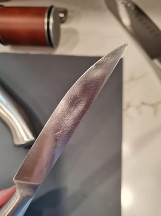 Customer photo review of Rolling Knife Sharpener