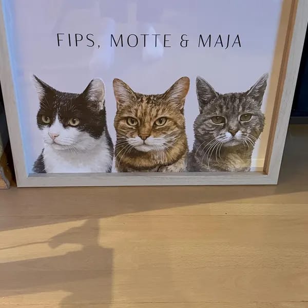 Customer photo review of Custom Pet Portrait