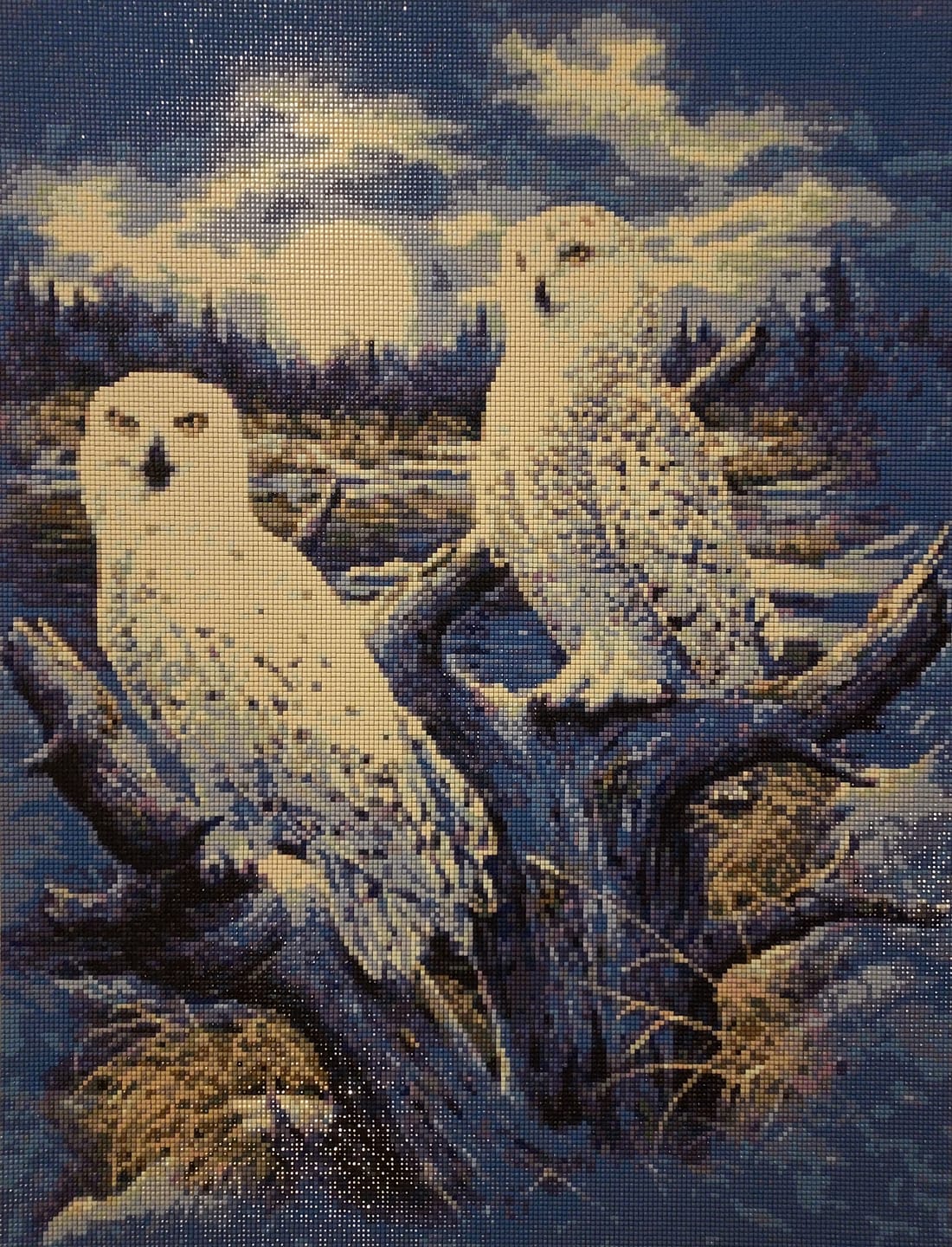 Customer photo review of Broderie Diamant - Chouettes et Lune
