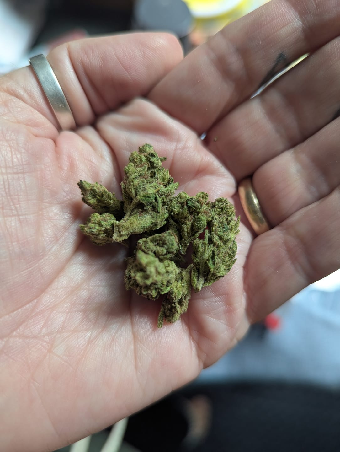 Customer photo review of Gary Payton - Minis - 14 Grams - Hybrid