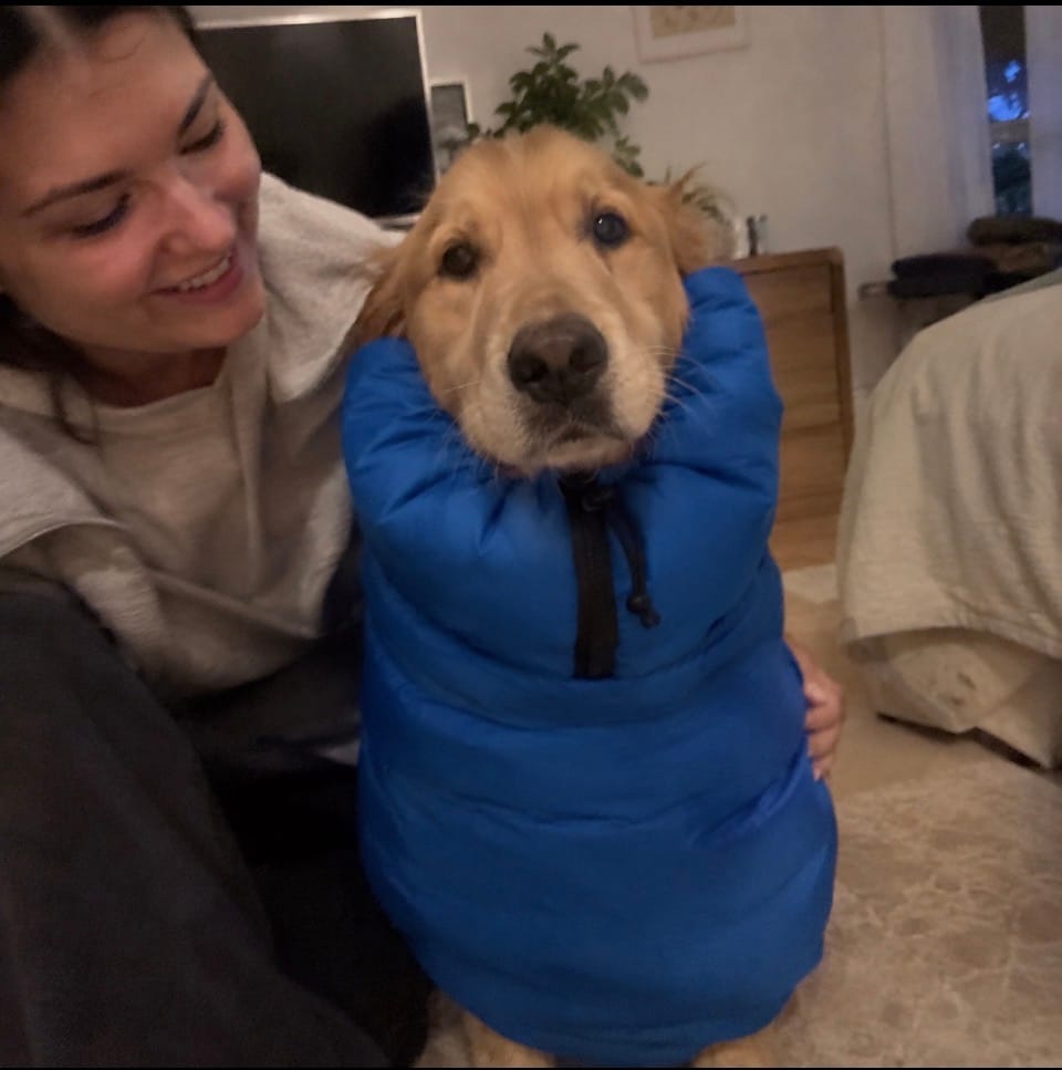 Customer photo review of asciugabau - PetDry
