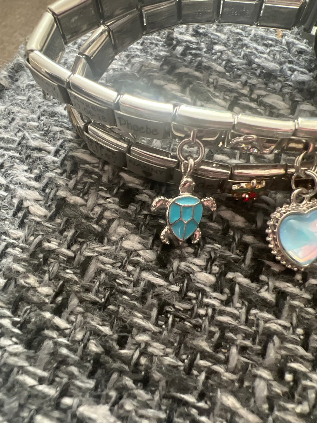 Customer photo review of Sea Turtle