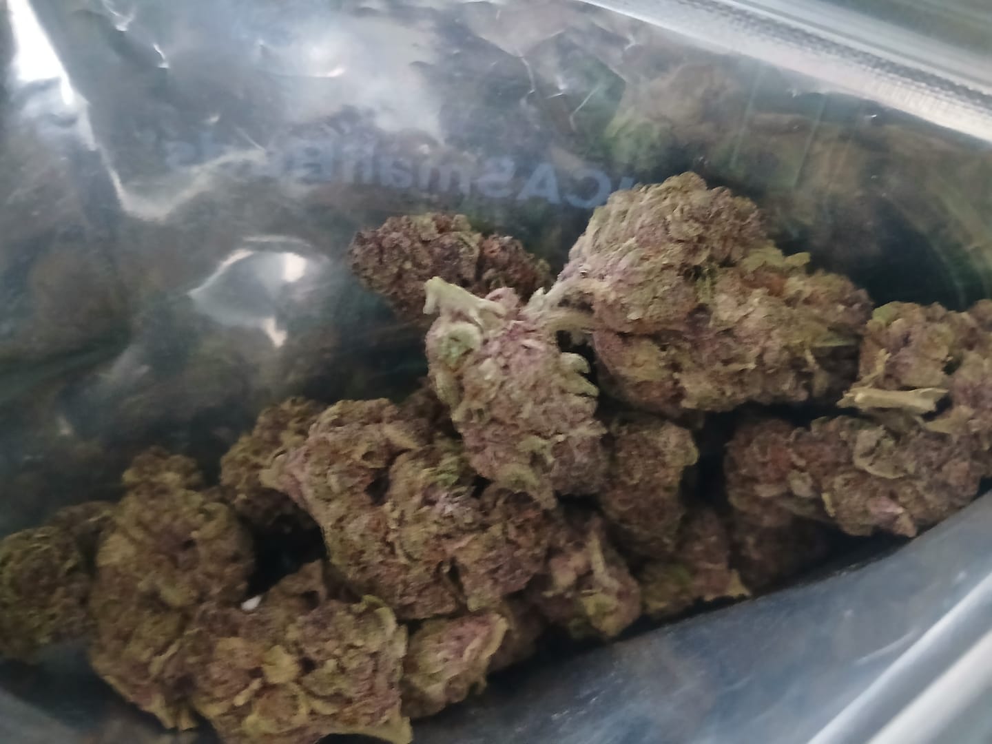Customer photo review of Tropicana Cherry THCA Flower