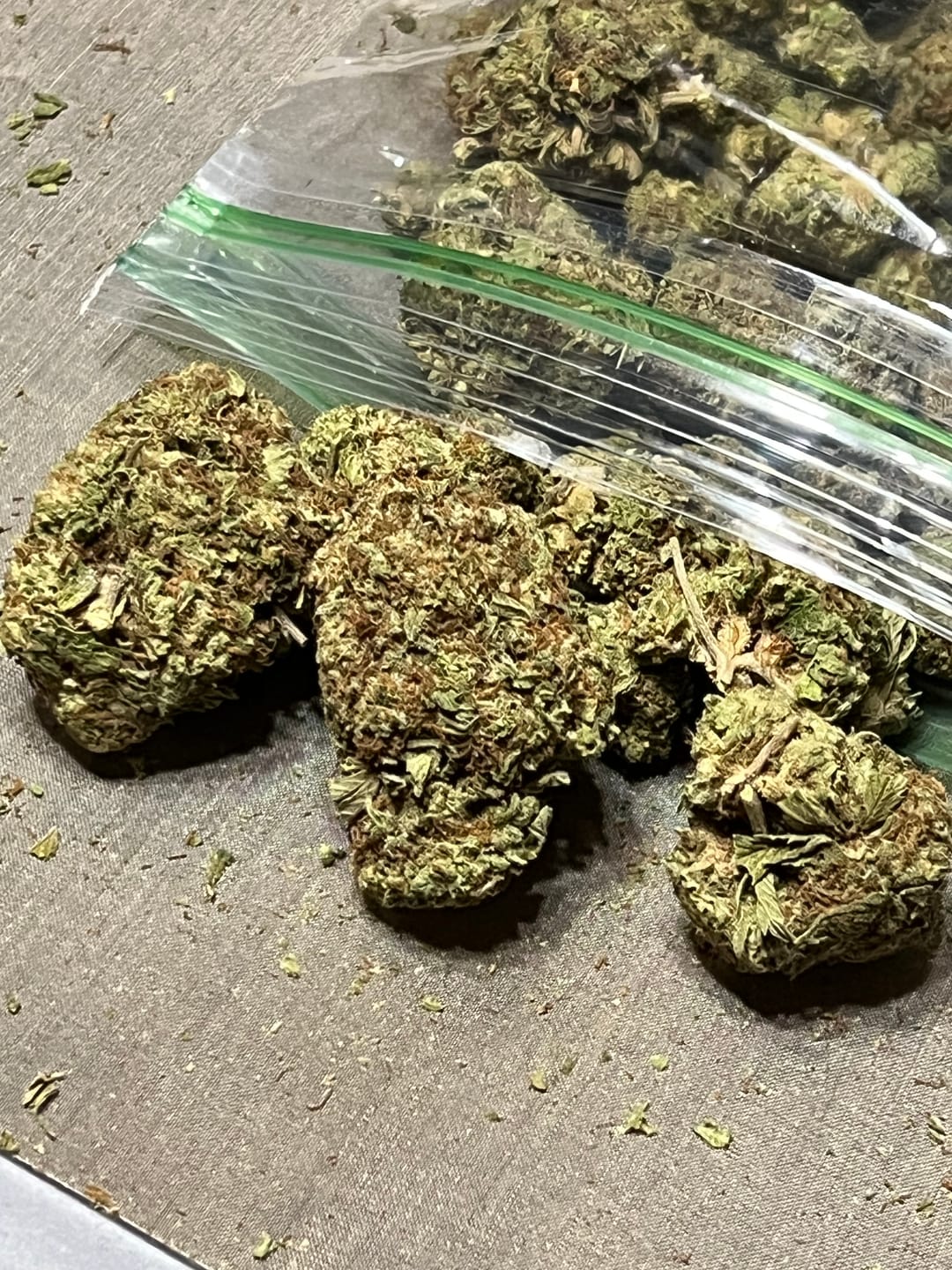Customer photo review of Gorilla Glue THCA Flower