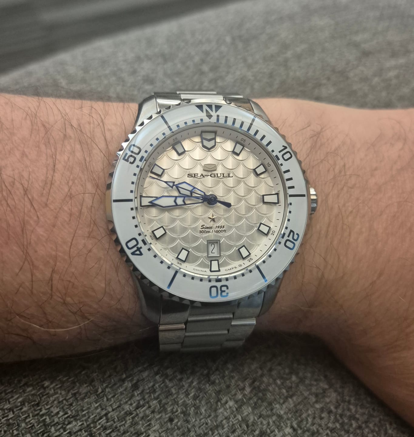 Customer photo review of Ocean Series Pro "Dragon Kings of the Four Seas" Dragon-scale Dial 300m Waterproof Diving Watch 44mm