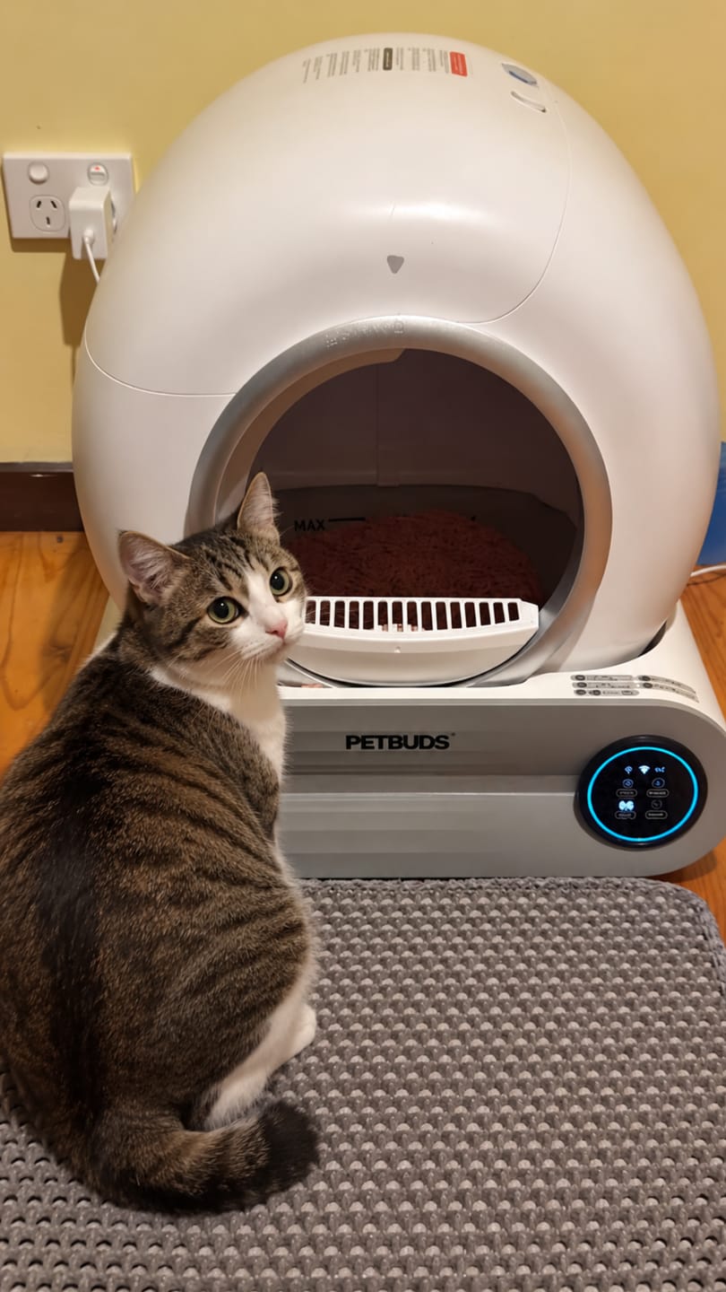 Customer photo review of Petbuds™ Pro 2026 Automatic Self-Cleaning Litter Box