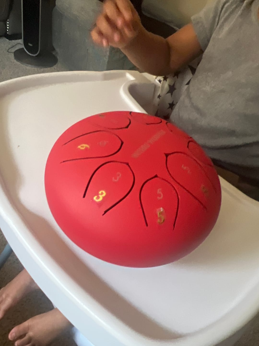 Customer photo review of Panda Drum® • Mini