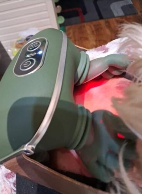 Customer photo review of Zavelix™ Dual-Use Red Light & Deep-Kneading Massager for People & Pets