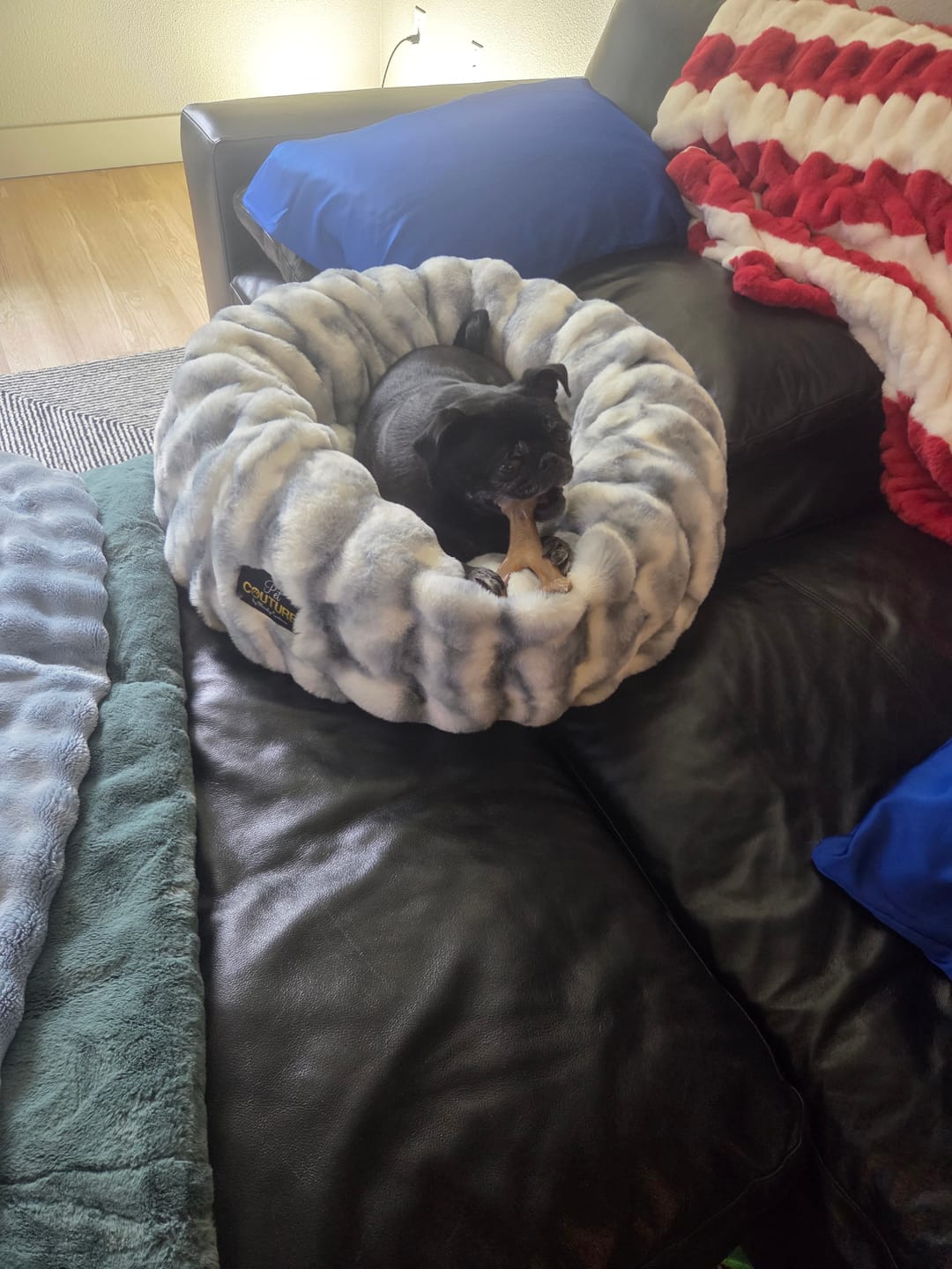 Customer photo review of Cloudy Day Blue Pet Bed
