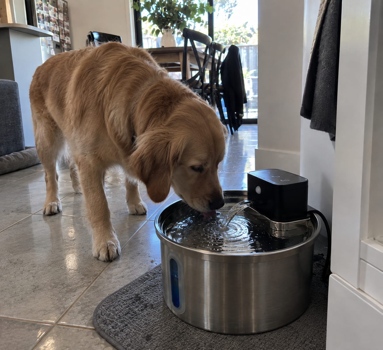 Customer photo review of HydraPaws Smart Flow