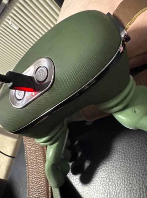 Customer photo review of Zavelix™ Dual-Use Red Light & Deep-Kneading Massager for People & Pets