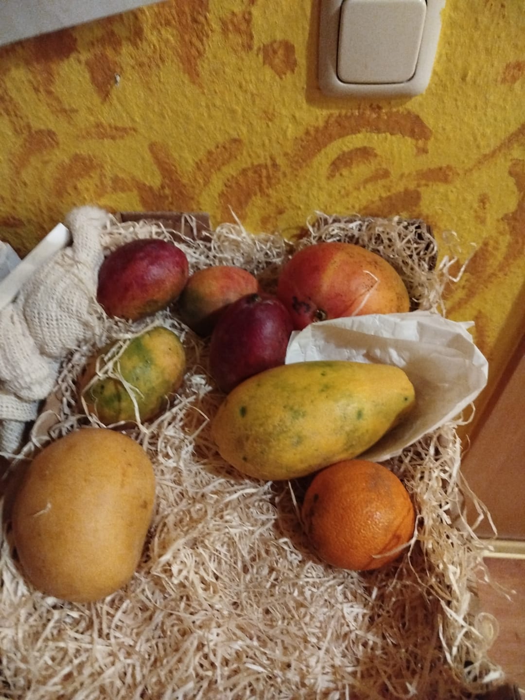 Customer photo review of Bio Obst & Gemüse Retterbox 5kg