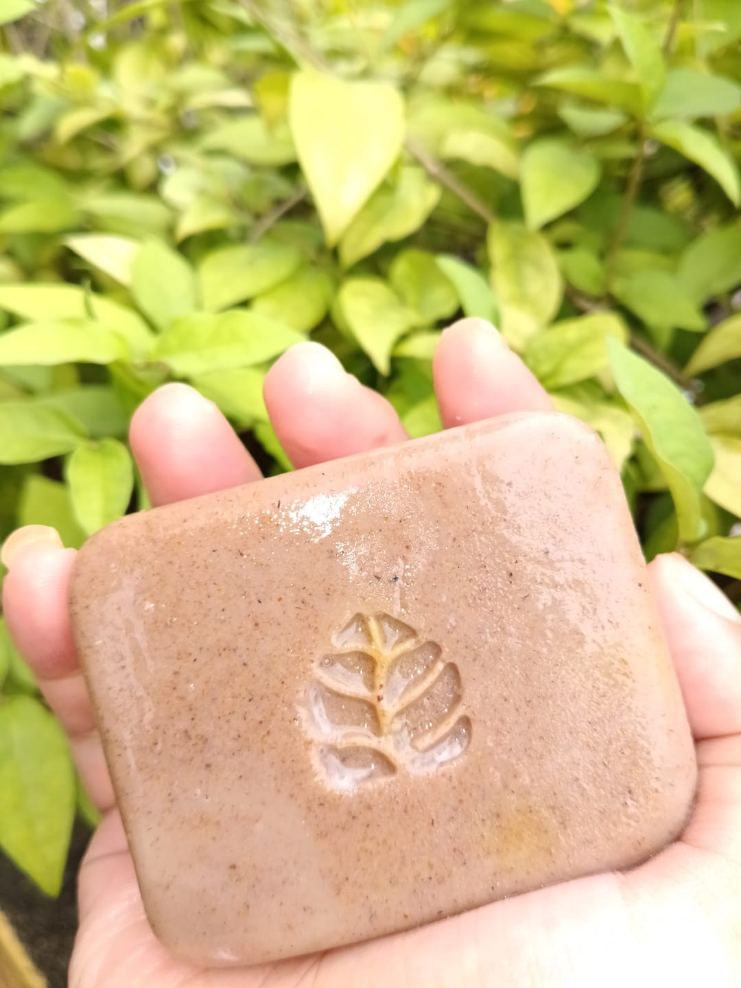 Customer photo review of Magic Soap (Sandal Wood and Saffron Soap)