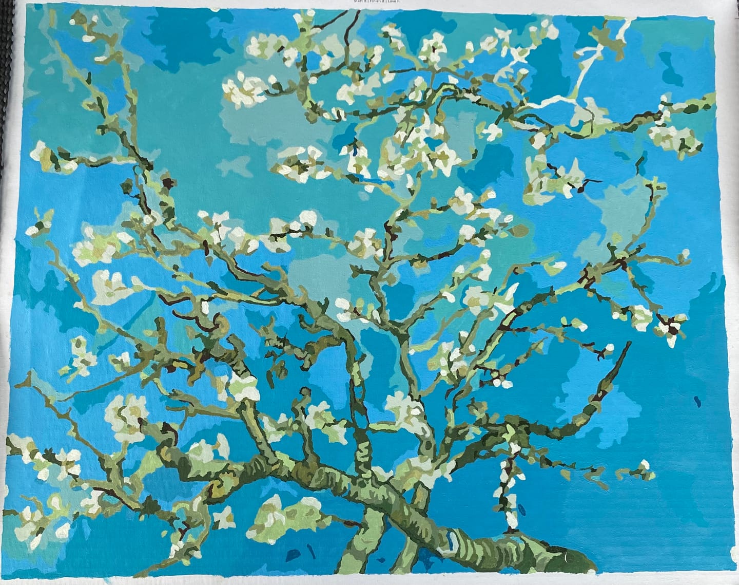 Customer photo review of Almond Blossoms | Vincent Van Gogh | Paint by Numbers