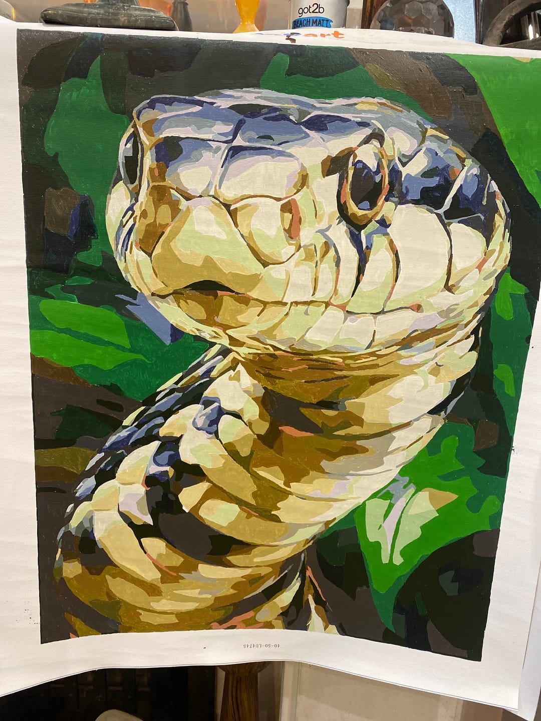 Customer photo review of Steel Serpent