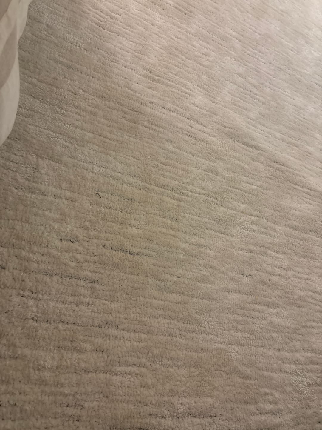 Customer photo review of سجادة مودرن - تارا