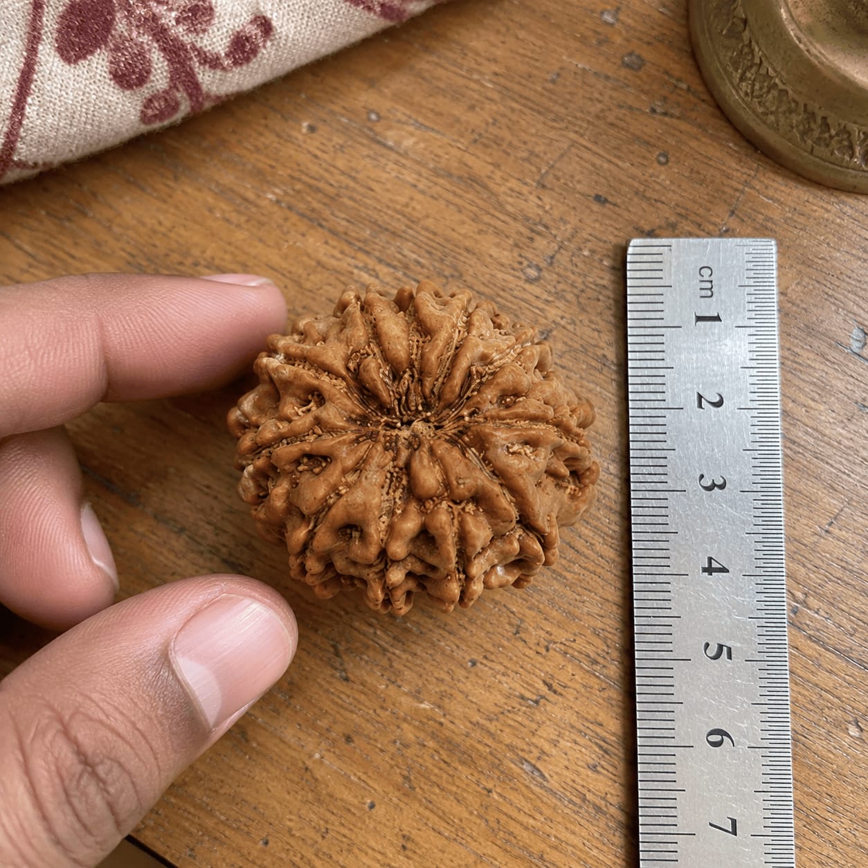 Customer photo review of 11 Mukhi Rudraksha (Nepali)