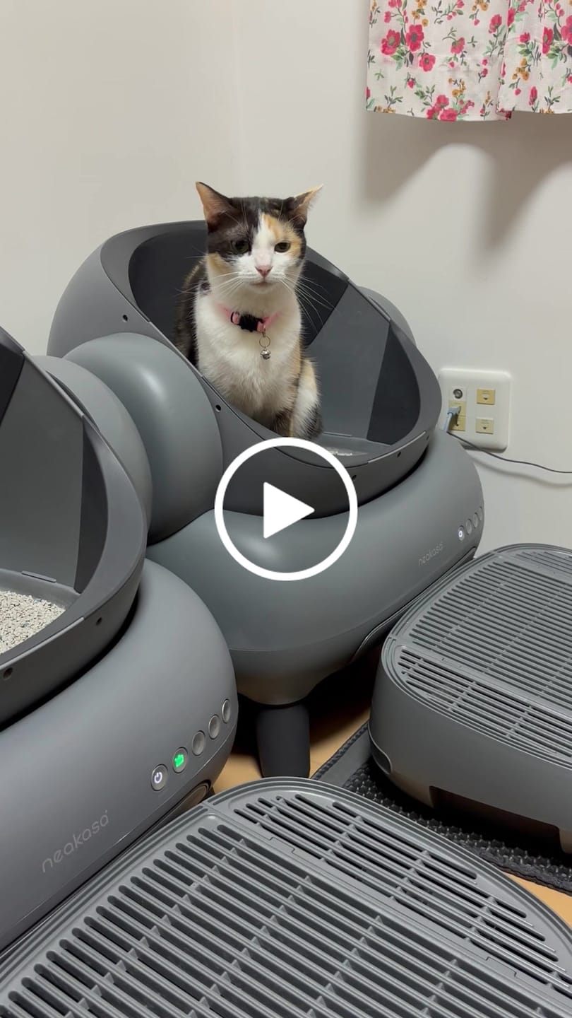Customer video review of Neakasa 猫トイレ専用の砂漏れ防止ステップ