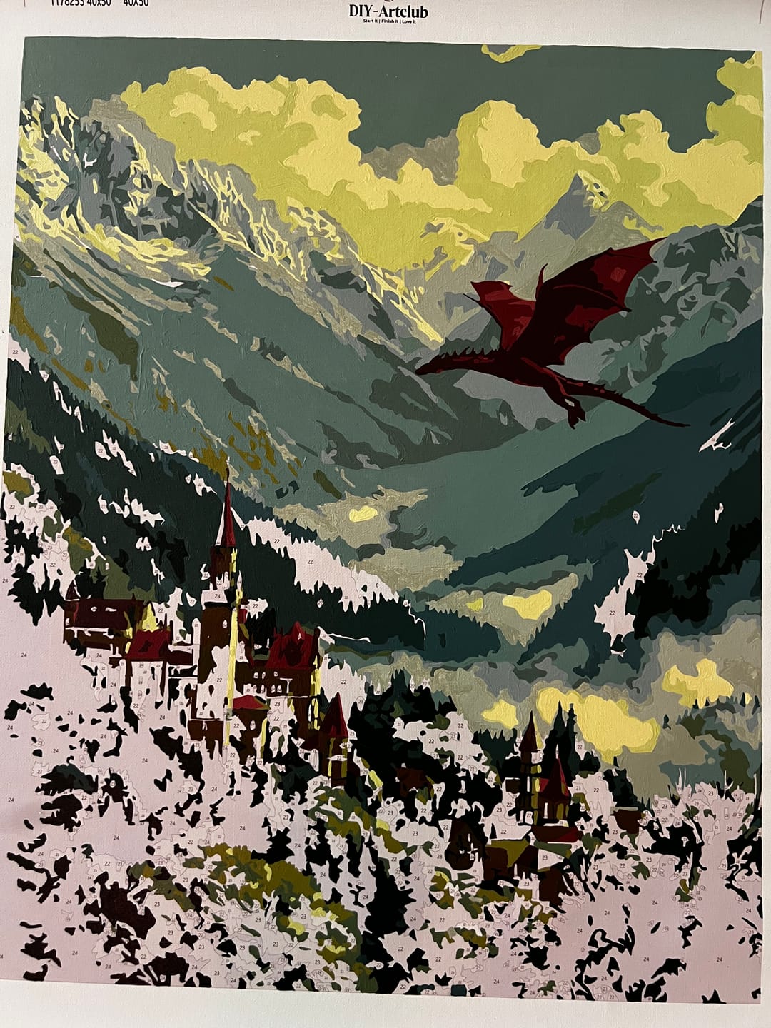 Customer photo review of Valley of Dragons | Paint by Number