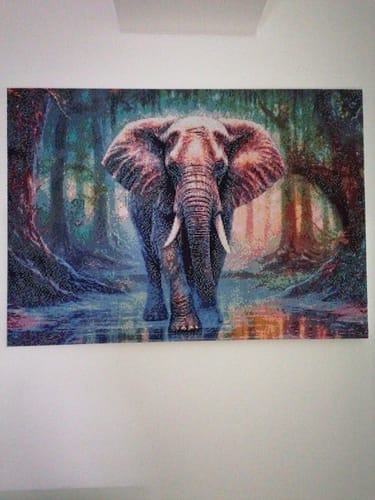Customer photo review of DIY Wooden Stretcher Frame for Diamond Painting