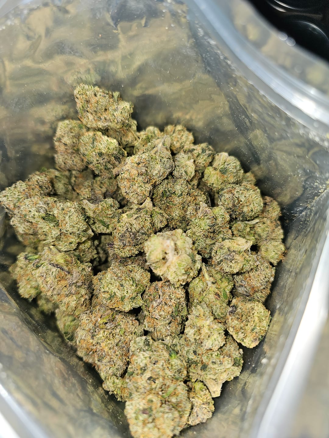Customer photo review of Obama Runtz Exotic THCA