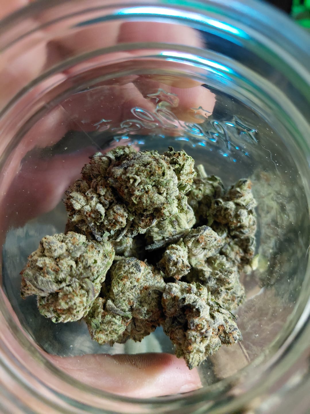 Customer photo review of Blue Sharpiez THCA Flower
