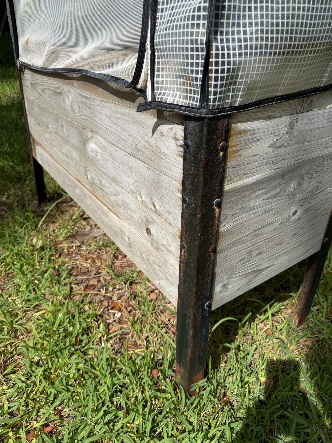 Customer photo review of 18″ x 48″ Deep Root Raised Garden Bed - 30″ TALL - Select Grade