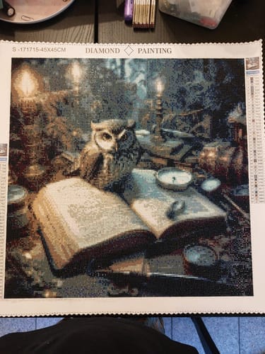 Customer photo review of Owl on book | Diamond Painting Kit