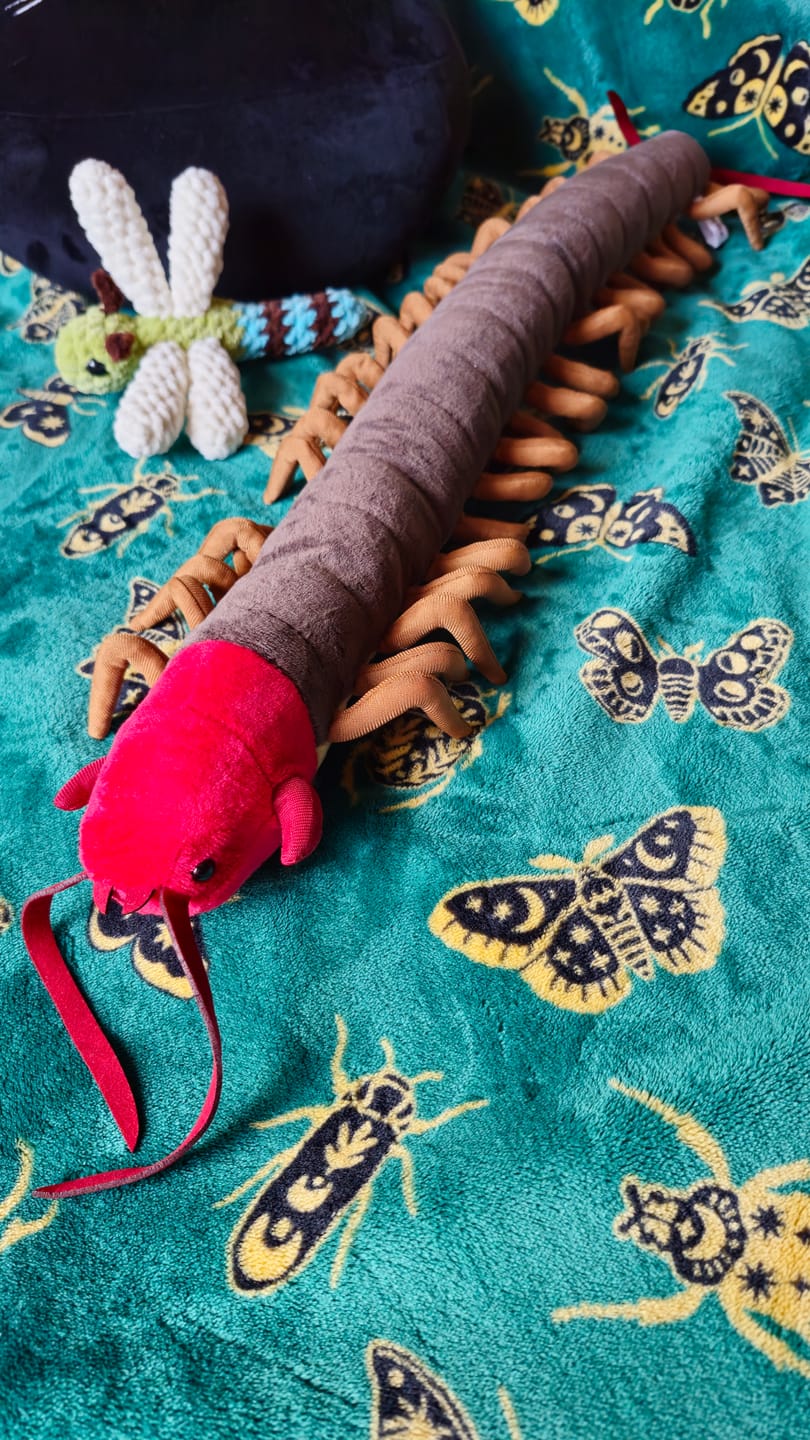 Customer photo review of Chinese Red-Headed Centipede Stuffed Plush Toy