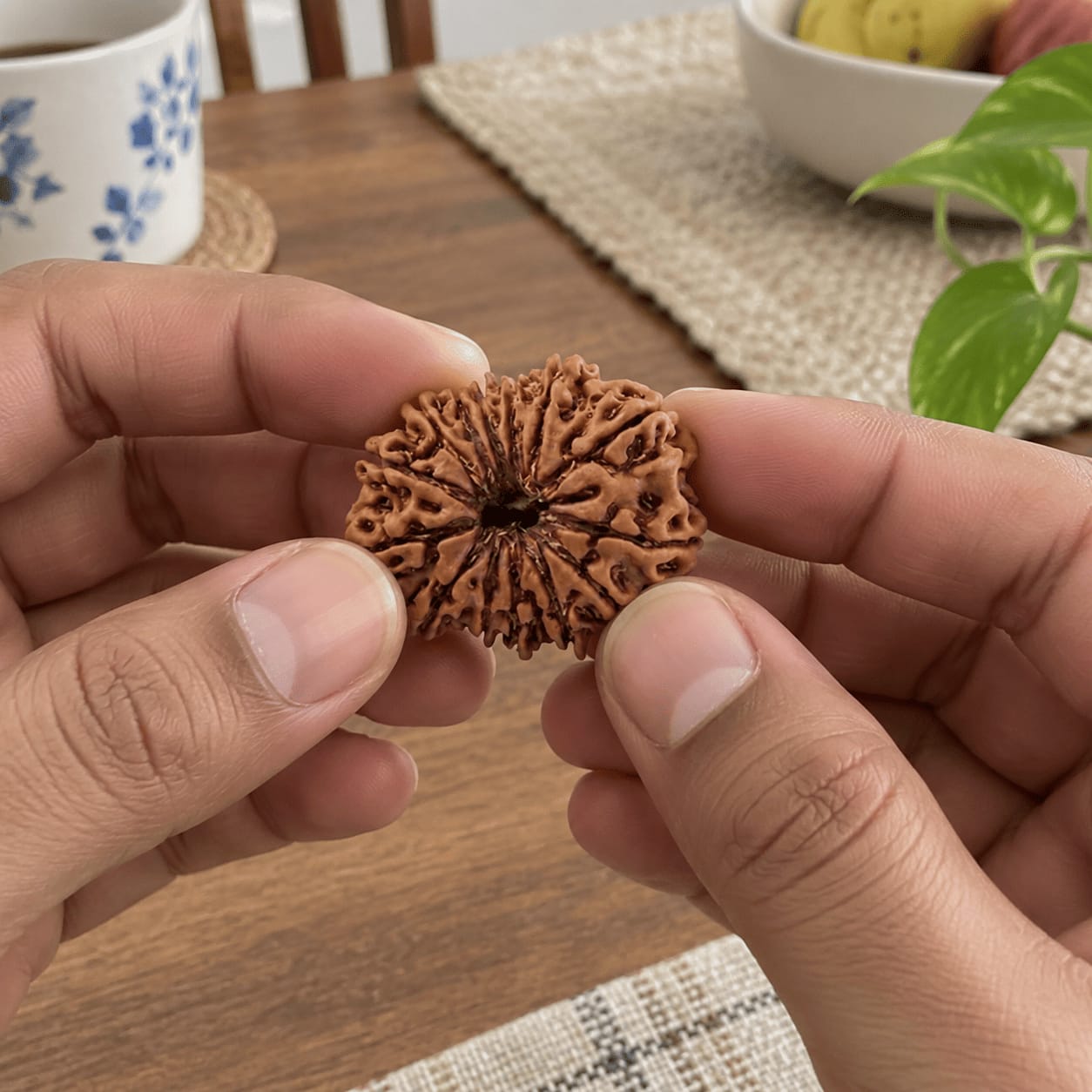 Customer photo review of 13 Mukhi Rudraksha (Nepali)