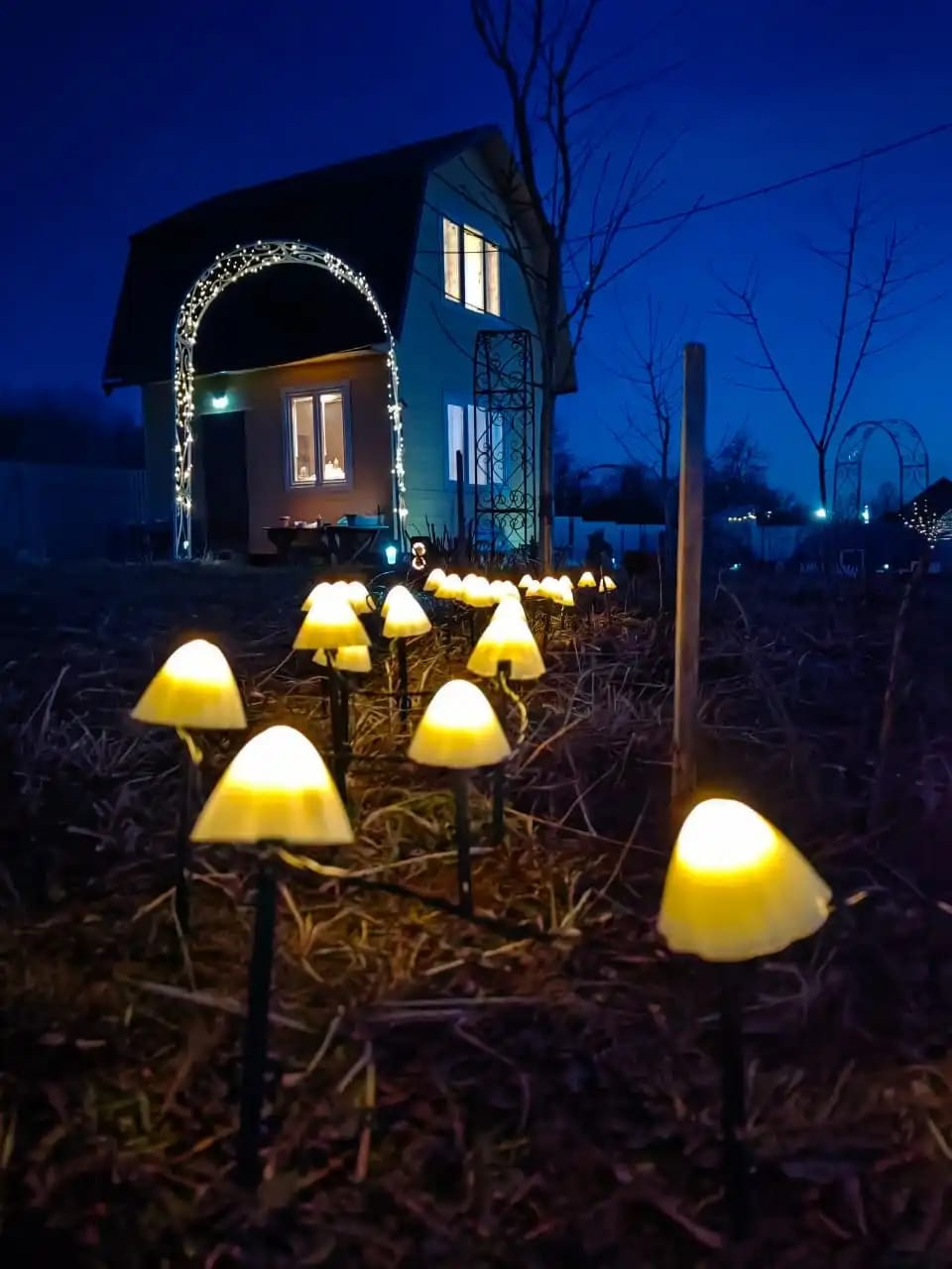 Customer photo review of Colourful String Lights for Garden, Solar Mushroom, 350 cm