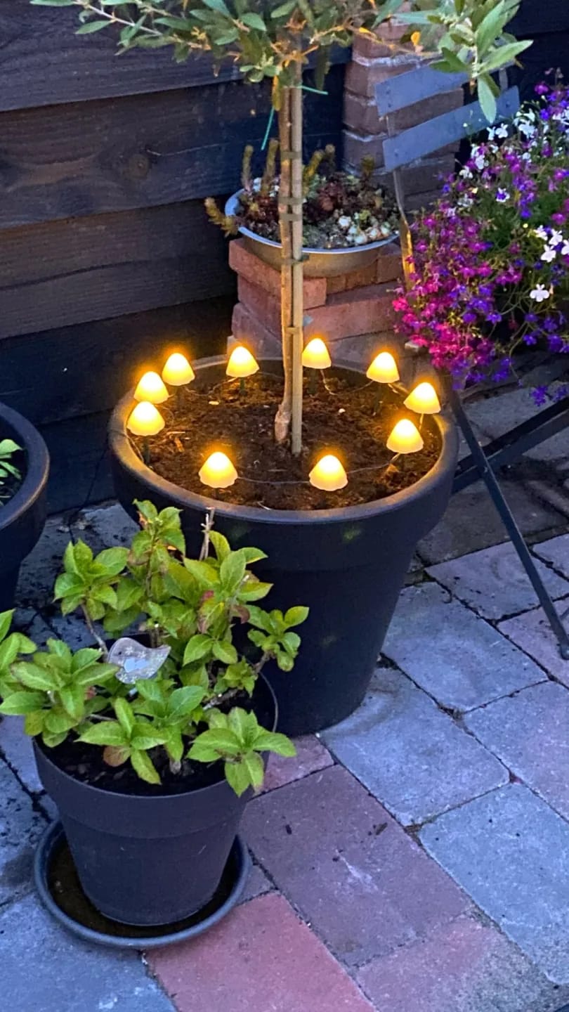 Customer photo review of Colourful String Lights for Garden, Solar Mushroom, 350 cm
