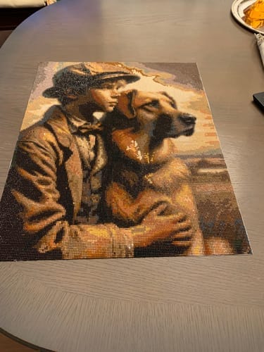 Customer photo review of Boy with dog, friends | Diamond Painting Kit