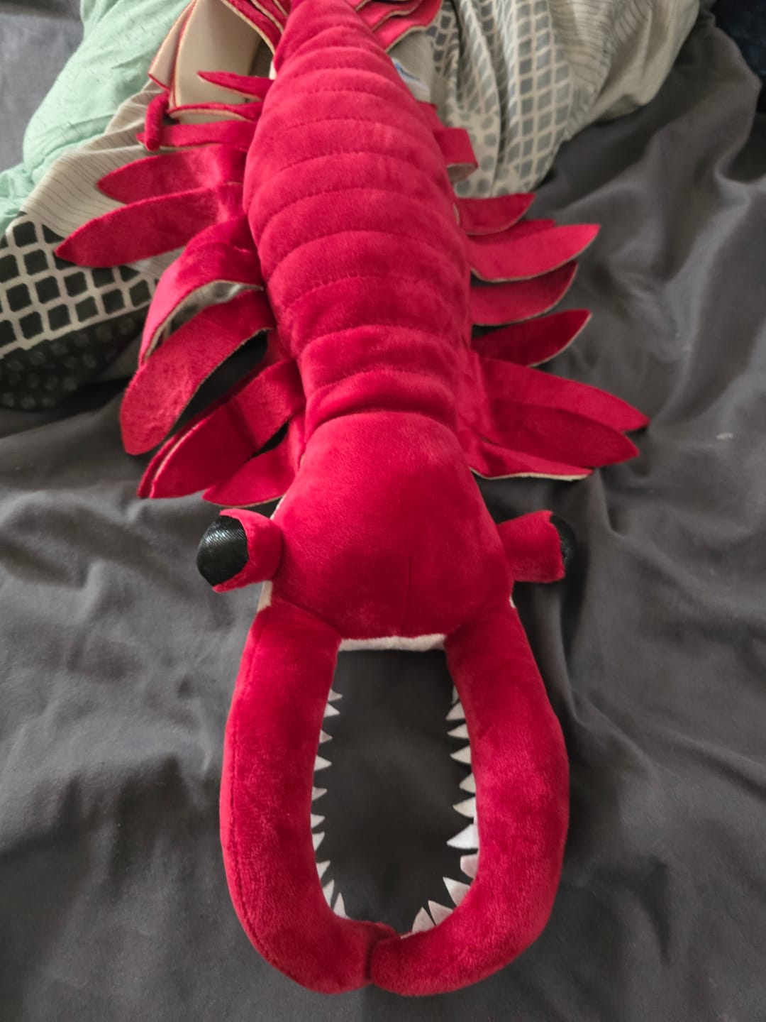 Customer photo review of Anomalocaris Arthropod Soft Stuffed Plush Toy
