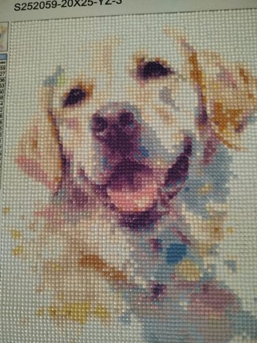 Customer photo review of Goldenretriver reflection | Diamond Painting Kit