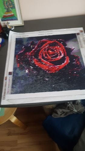 Customer photo review of Glass apple red roses | Diamond Painting Kit