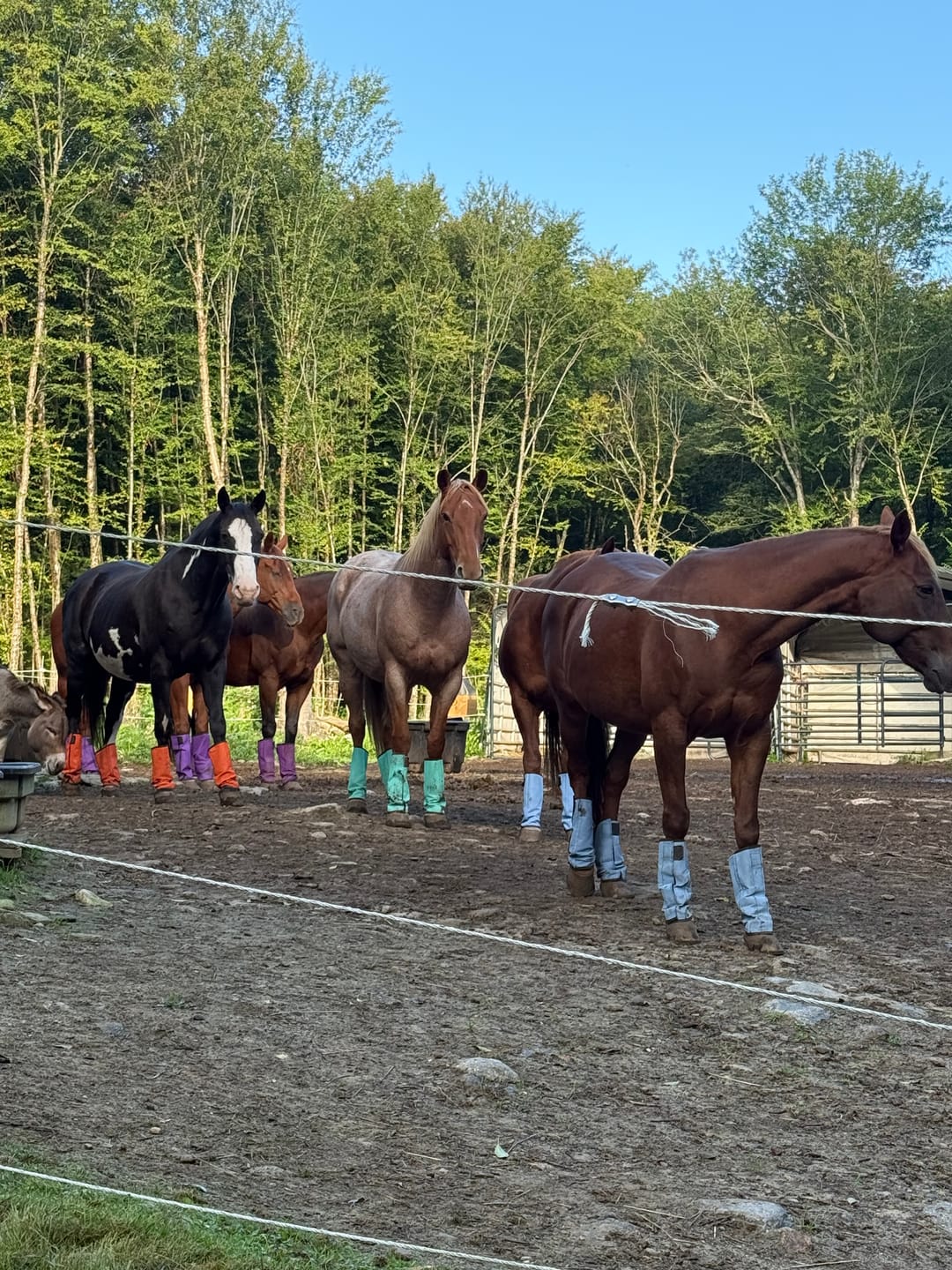 Customer photo review of The FlyBlock Boots