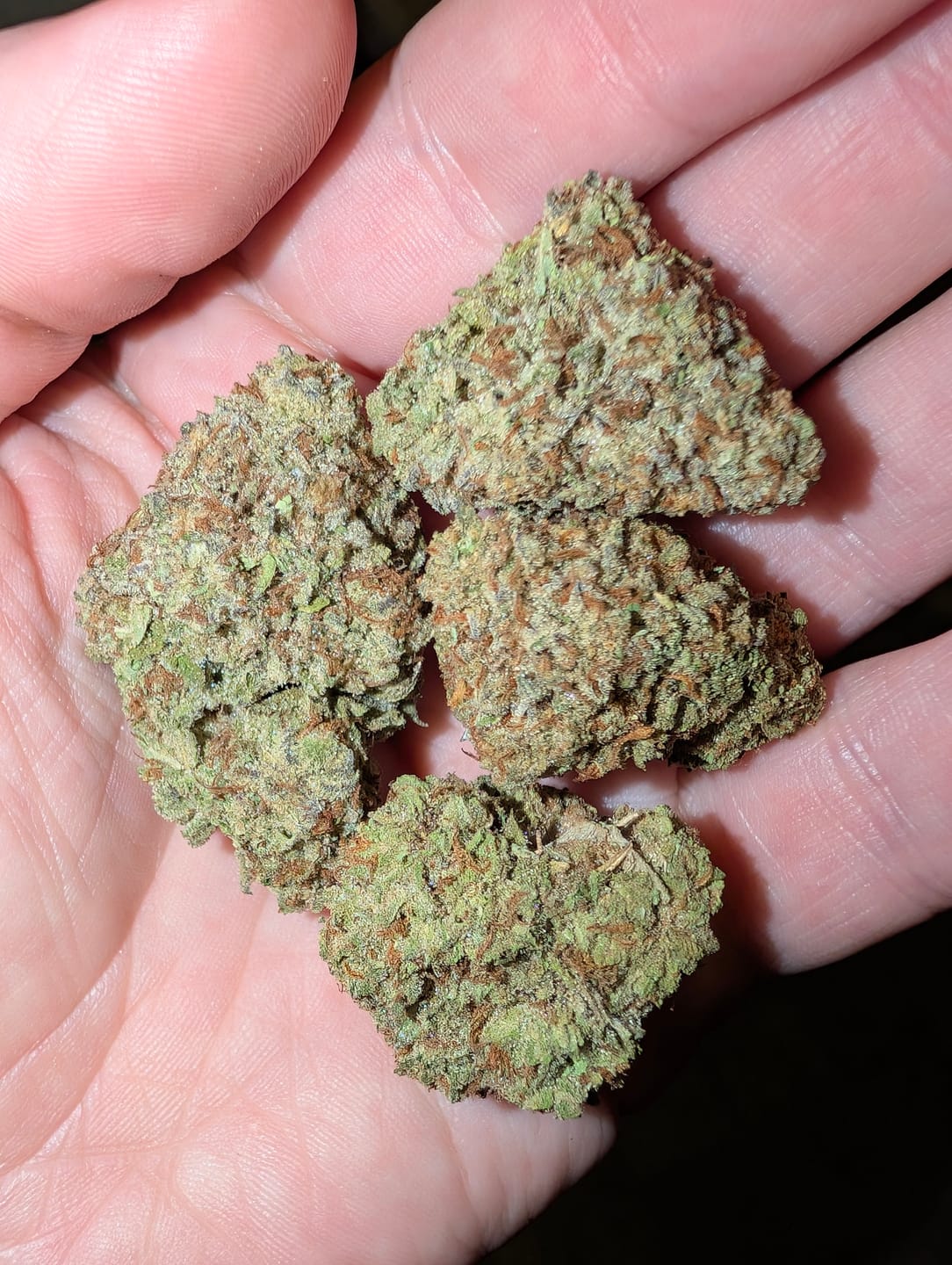 Customer photo review of OG Kush Light Dep THCA