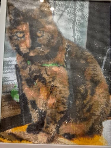 Customer photo review of Your Photo | Custom Photo Diamond Painting Kit