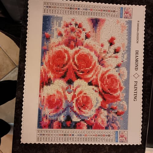 Customer photo review of Diamond Painting Storage Box