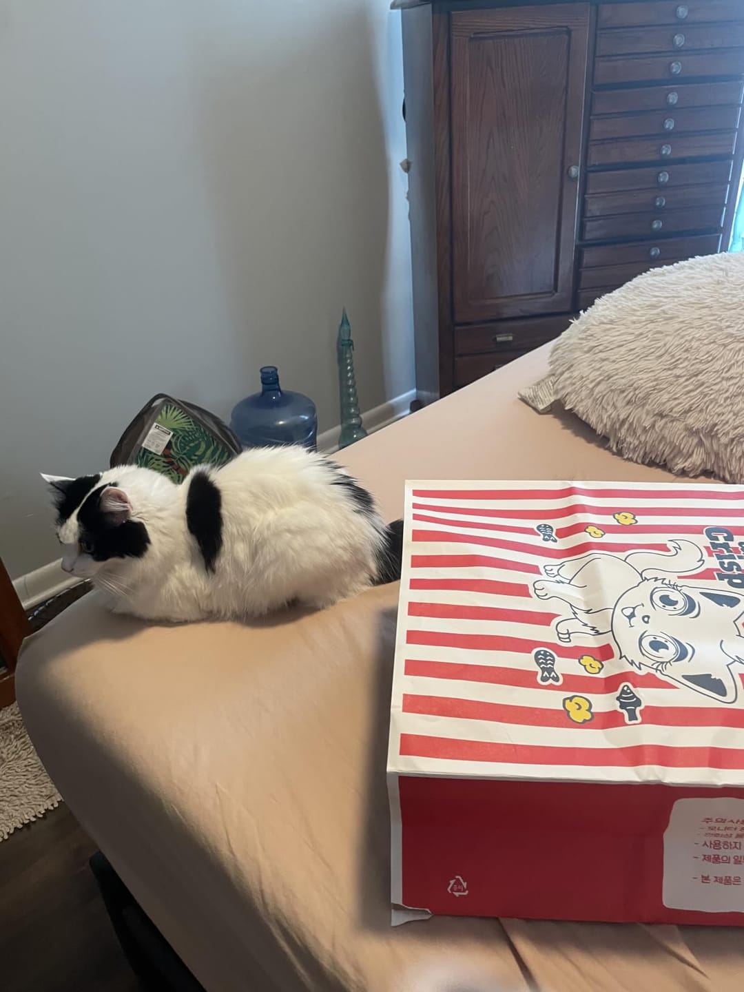 Customer photo review of CrinkleCove™ Double-Layer Paper Cat Hideout