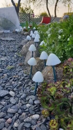 Customer photo review of Colourful String Lights for Garden, Solar Mushroom, 350 cm