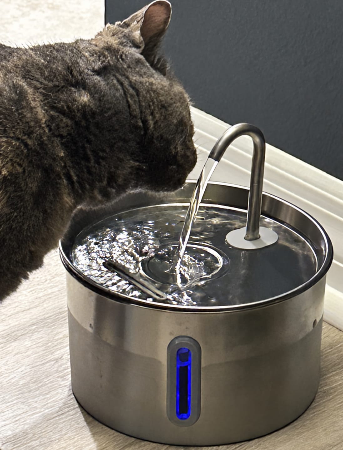 Customer photo review of IsaPet - Fuente de Agua Inalámbrica Mascotas 2.2L