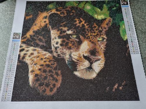 Customer photo review of Leopard Portrait | Diamond Painting Kit