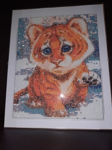 Customer photo review of Surprise Design | Mystery Diamond Painting Kit
