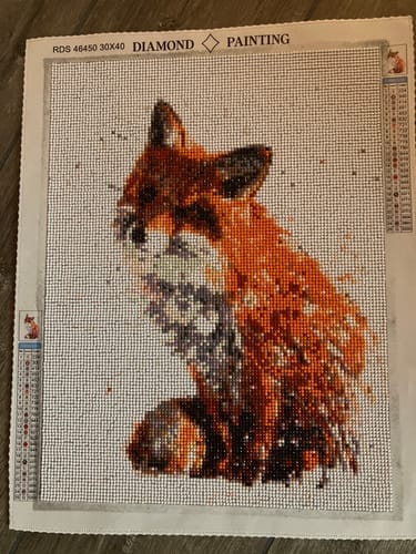 Customer photo review of Color impression fox | Diamond Painting Kit