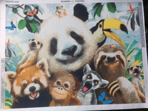 Customer photo review of Jungle Friends | Diamond Painting Kit